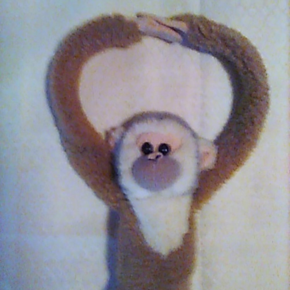 Adorable Hanging Monkey by Wild Explorers Brown 17" Tall Plush Toy - Picture 2 of 3